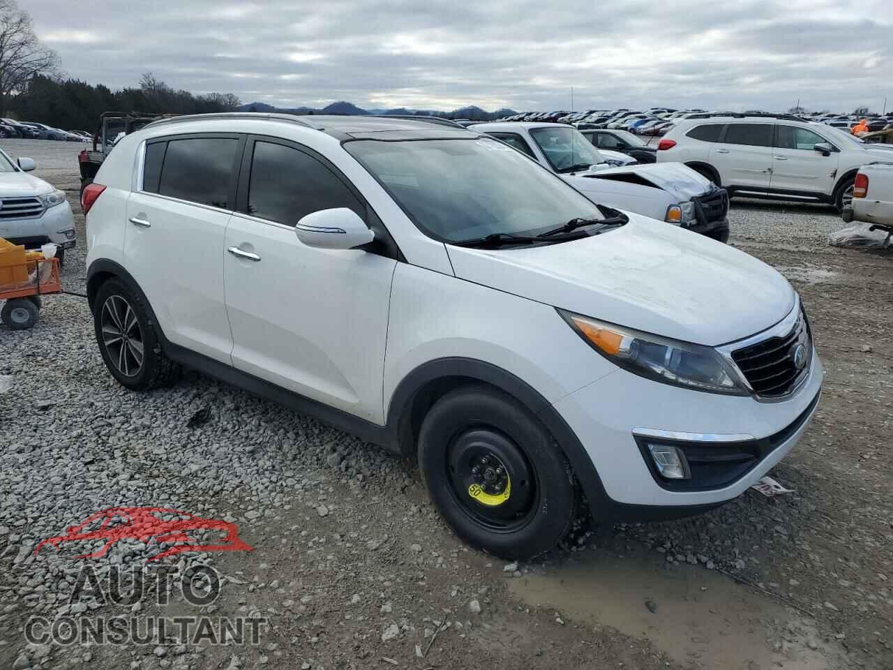 KIA SPORTAGE 2016 - KNDPC3A61G7816632