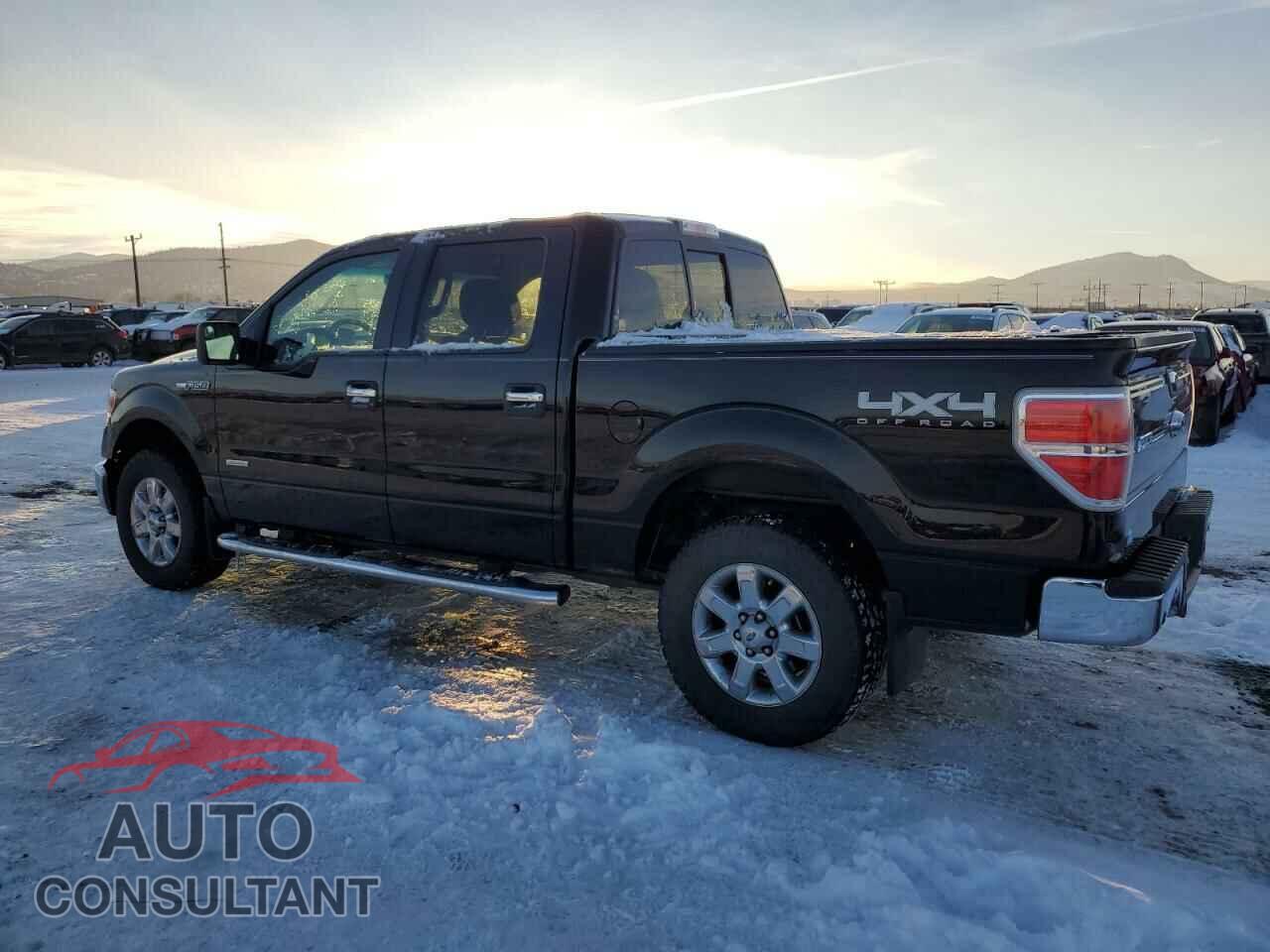 FORD F-150 2013 - 1FTFW1ET1DFD27365