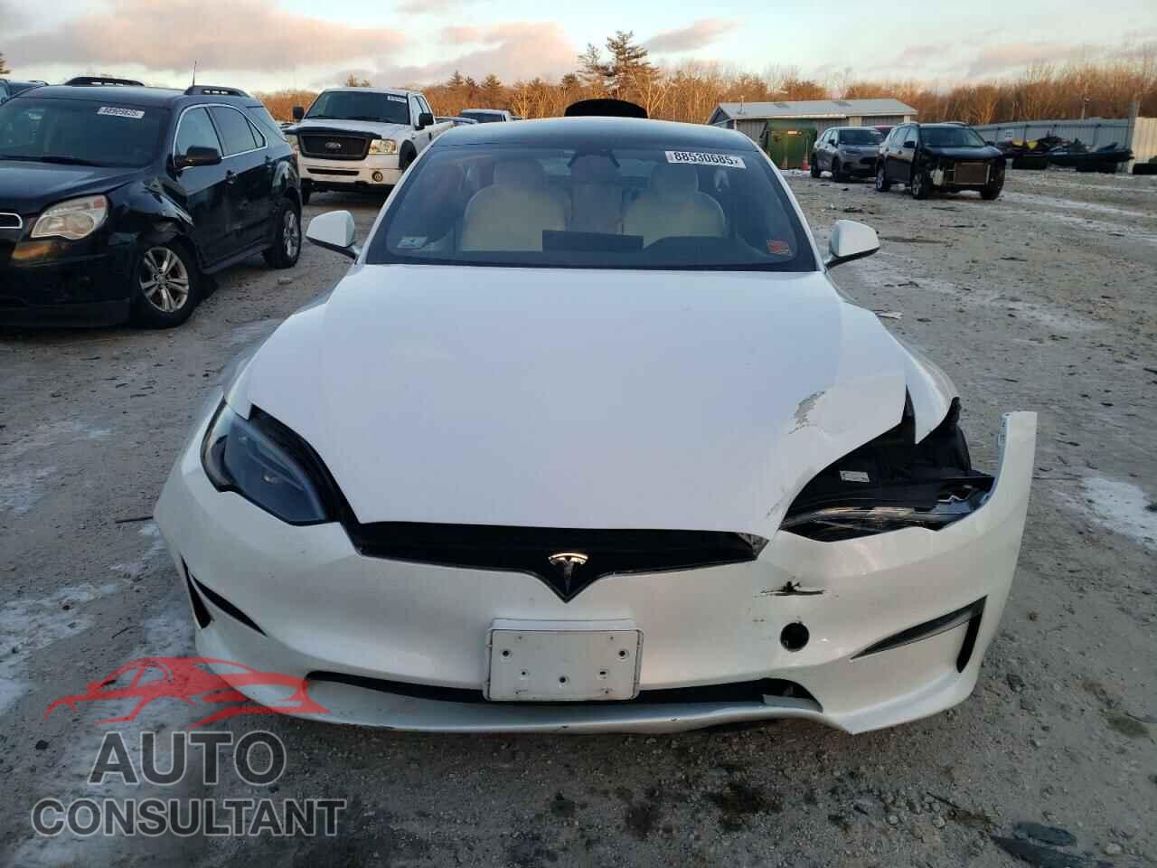 TESLA MODEL S 2023 - 5YJSA1E55PF508489