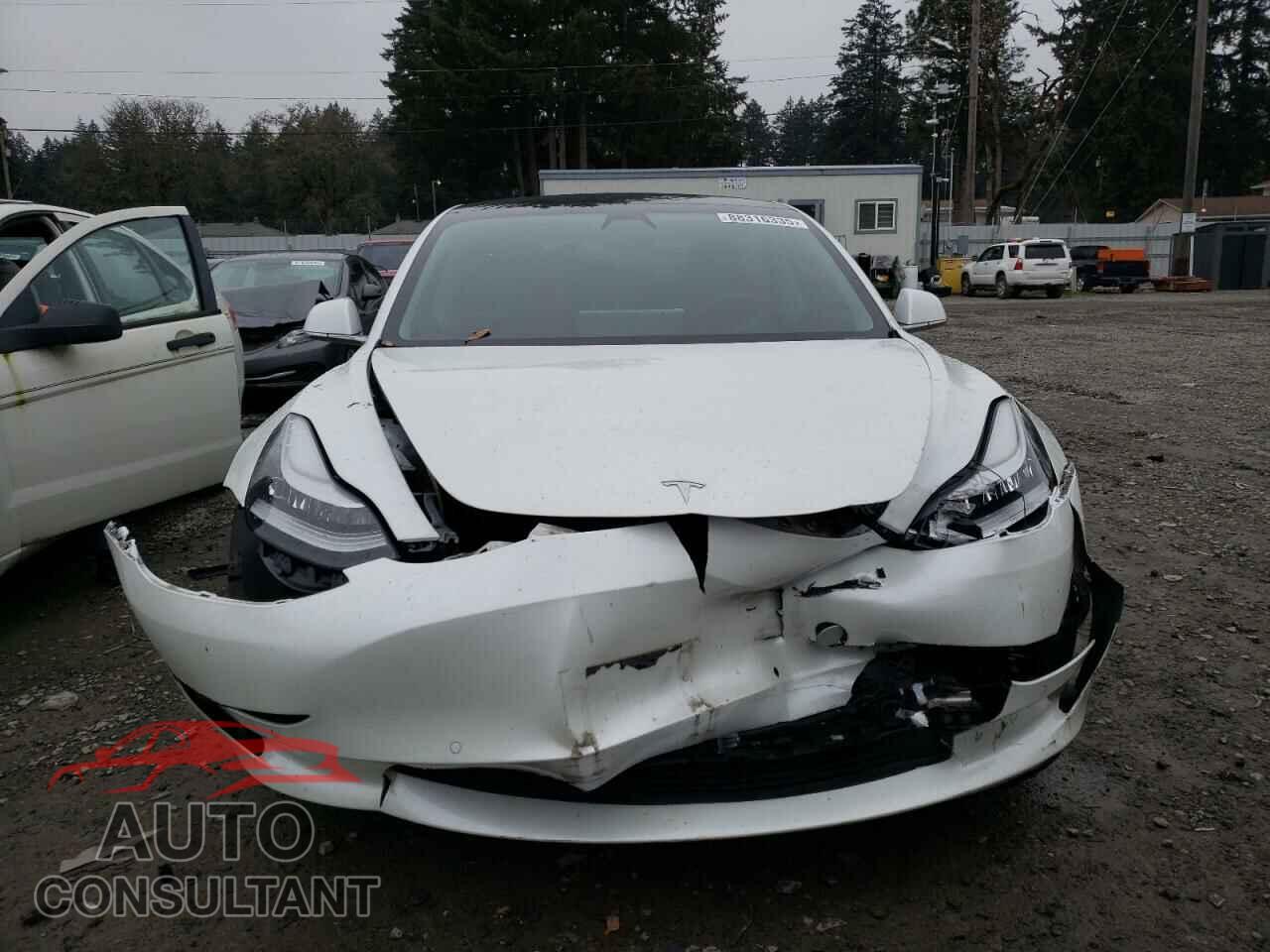 TESLA MODEL 3 2020 - 5YJ3E1EA4LF659629