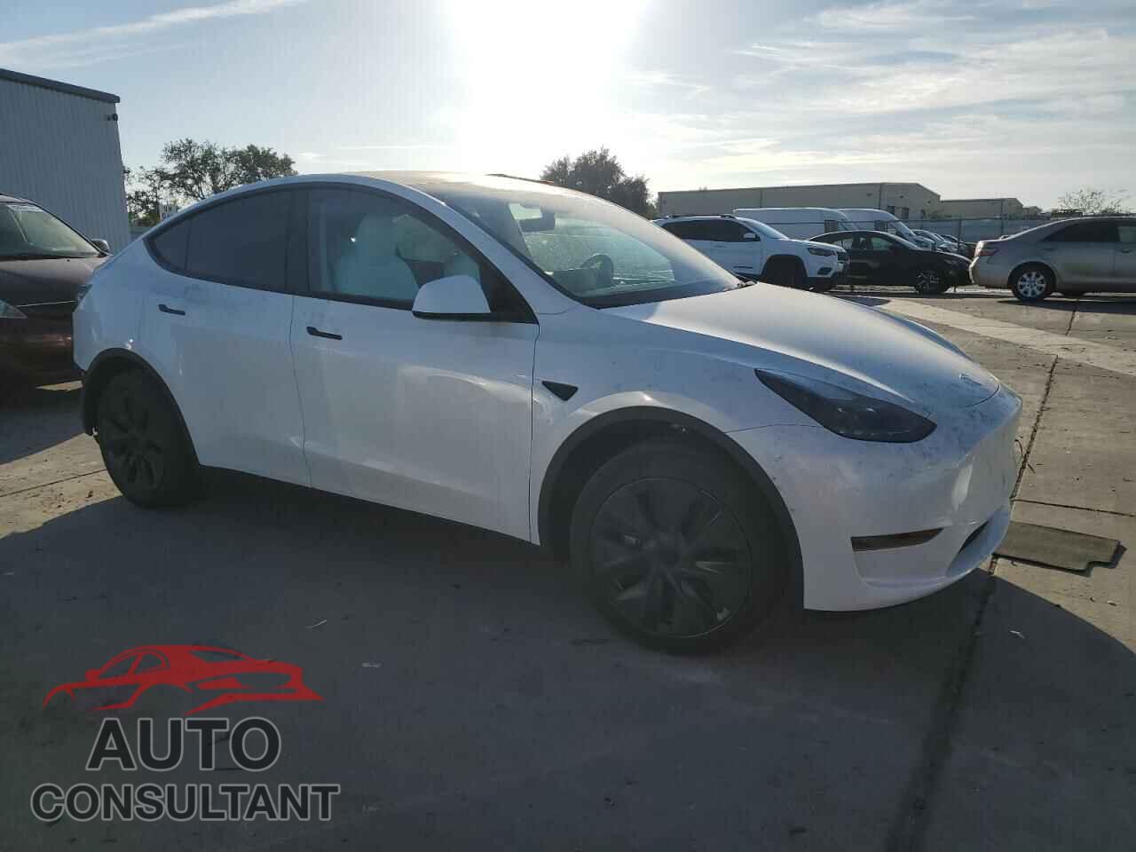 TESLA MODEL Y 2024 - 7SAYGDED9RF105106