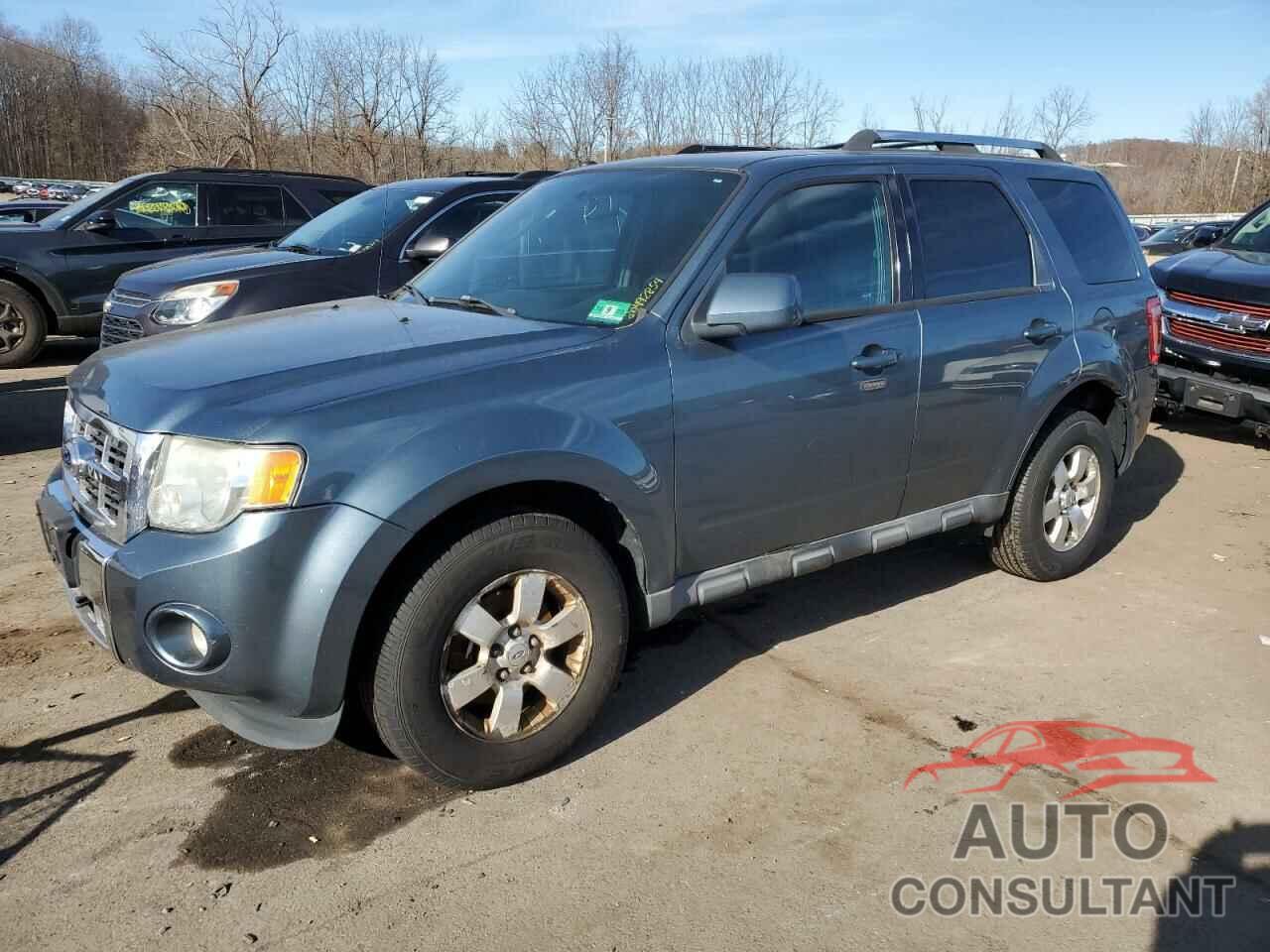 FORD ESCAPE 2010 - 1FMCU9EG6AKC58343