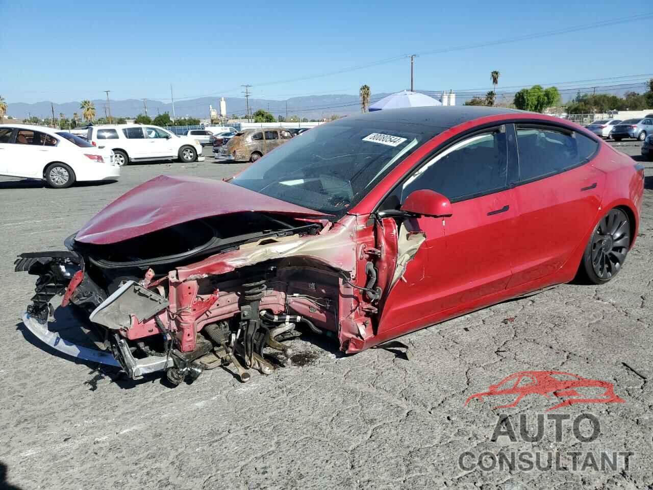 TESLA MODEL 3 2021 - 5YJ3E1ECXMF000876