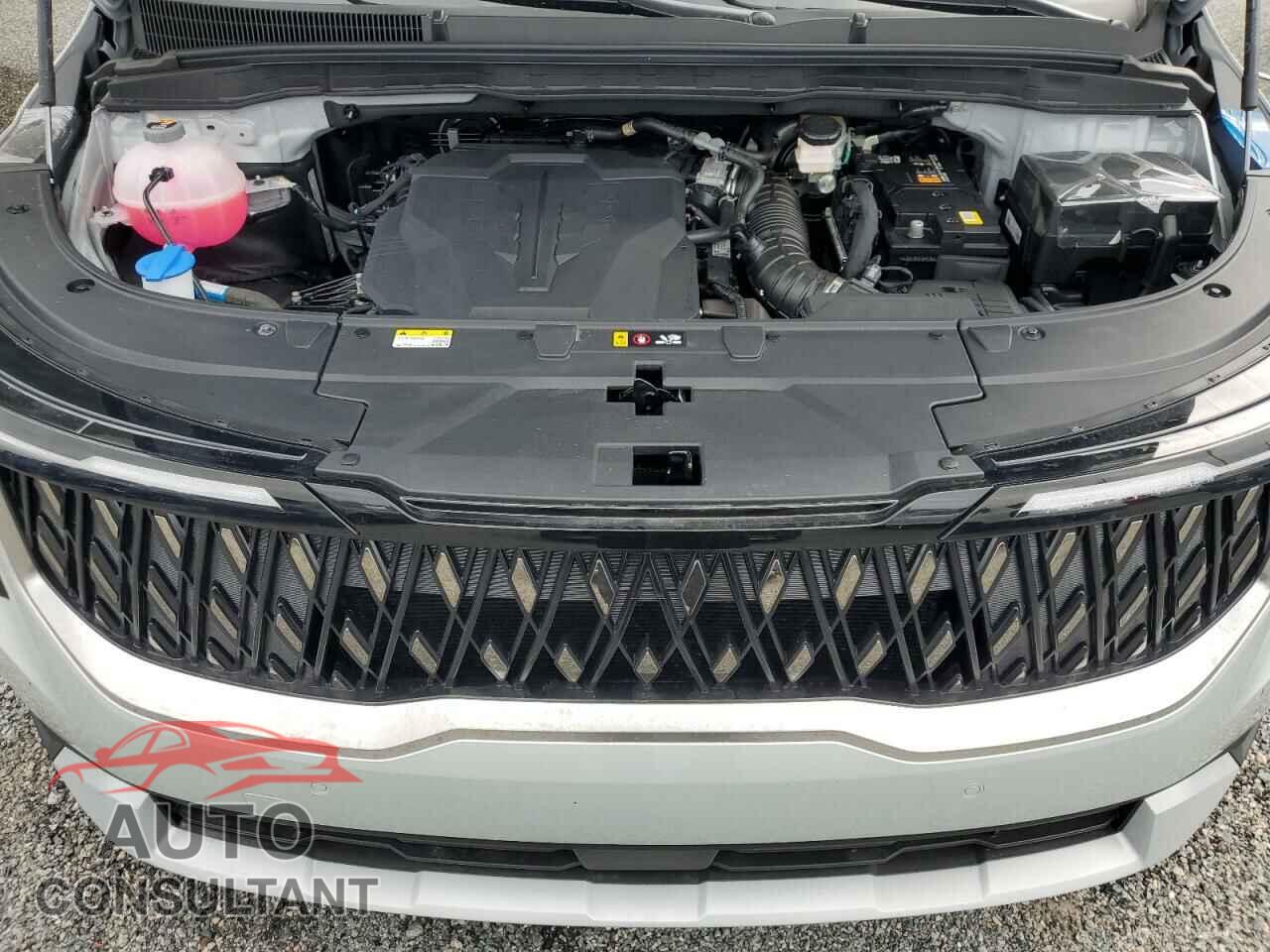 KIA CARNIVAL E 2025 - KNDNC5K38S6479110