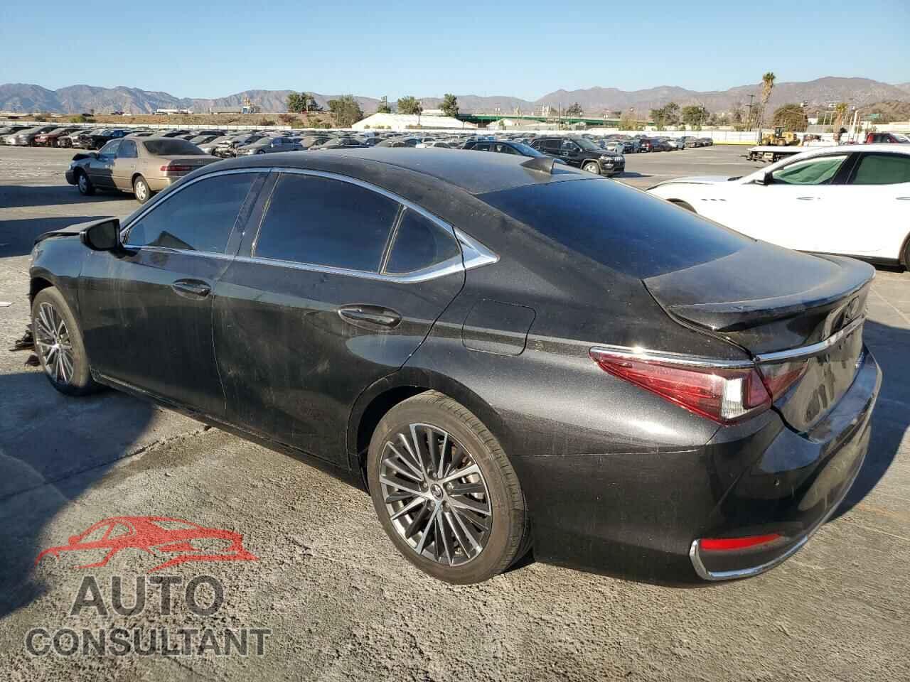LEXUS ES300 2024 - 58ADA1C19RU043805