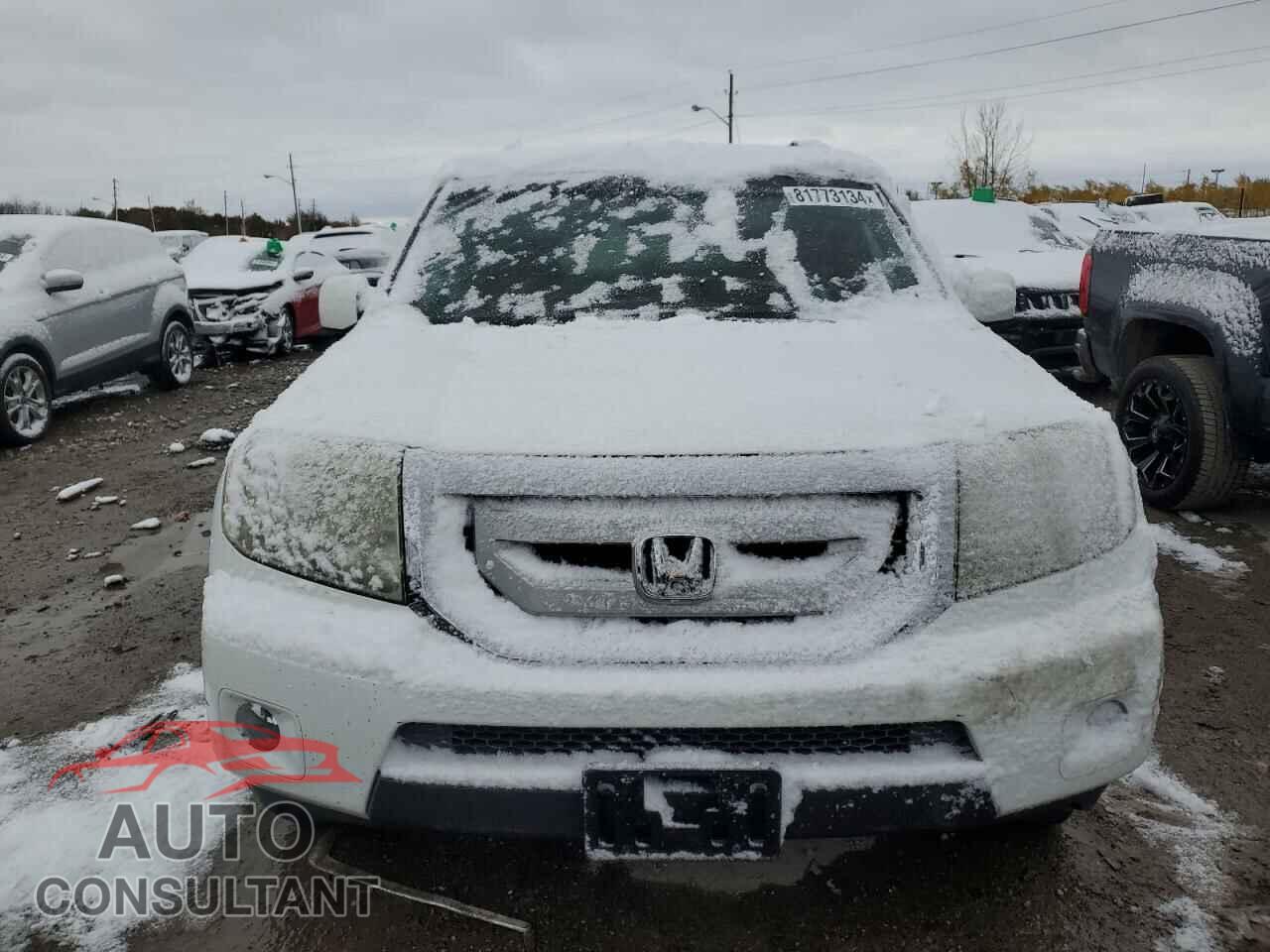 HONDA PILOT 2009 - 5FNYF38559B016020