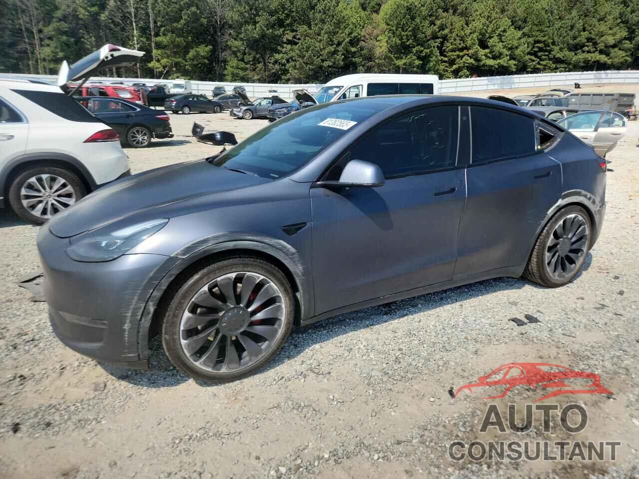 TESLA MODEL Y 2022 - 7SAYGDEF7NF469570
