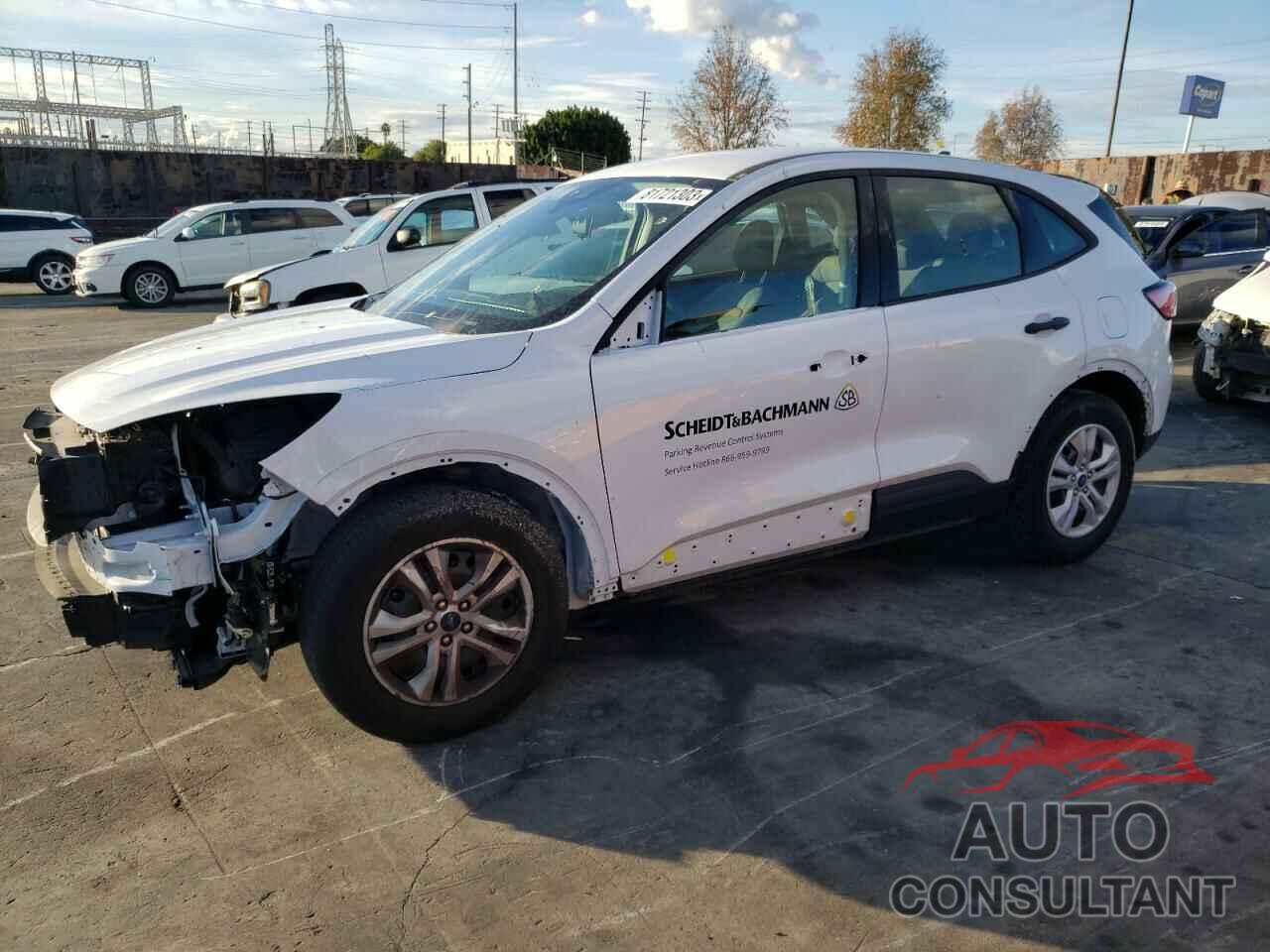 FORD ESCAPE 2021 - 1FMCU0F66MUB19131