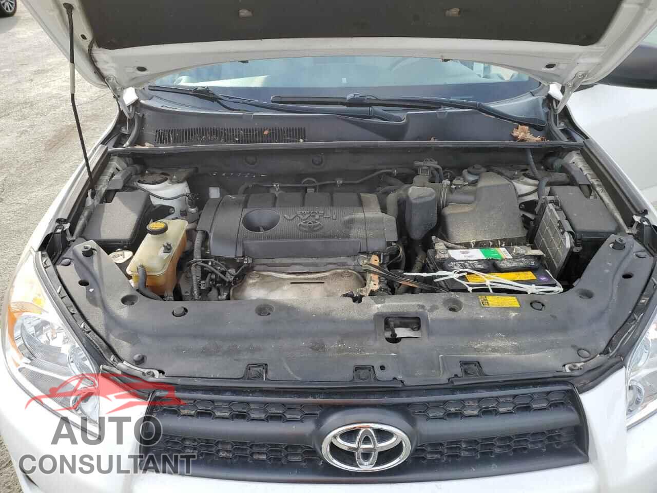 TOYOTA RAV4 2011 - 2T3BF4DV4BW131676