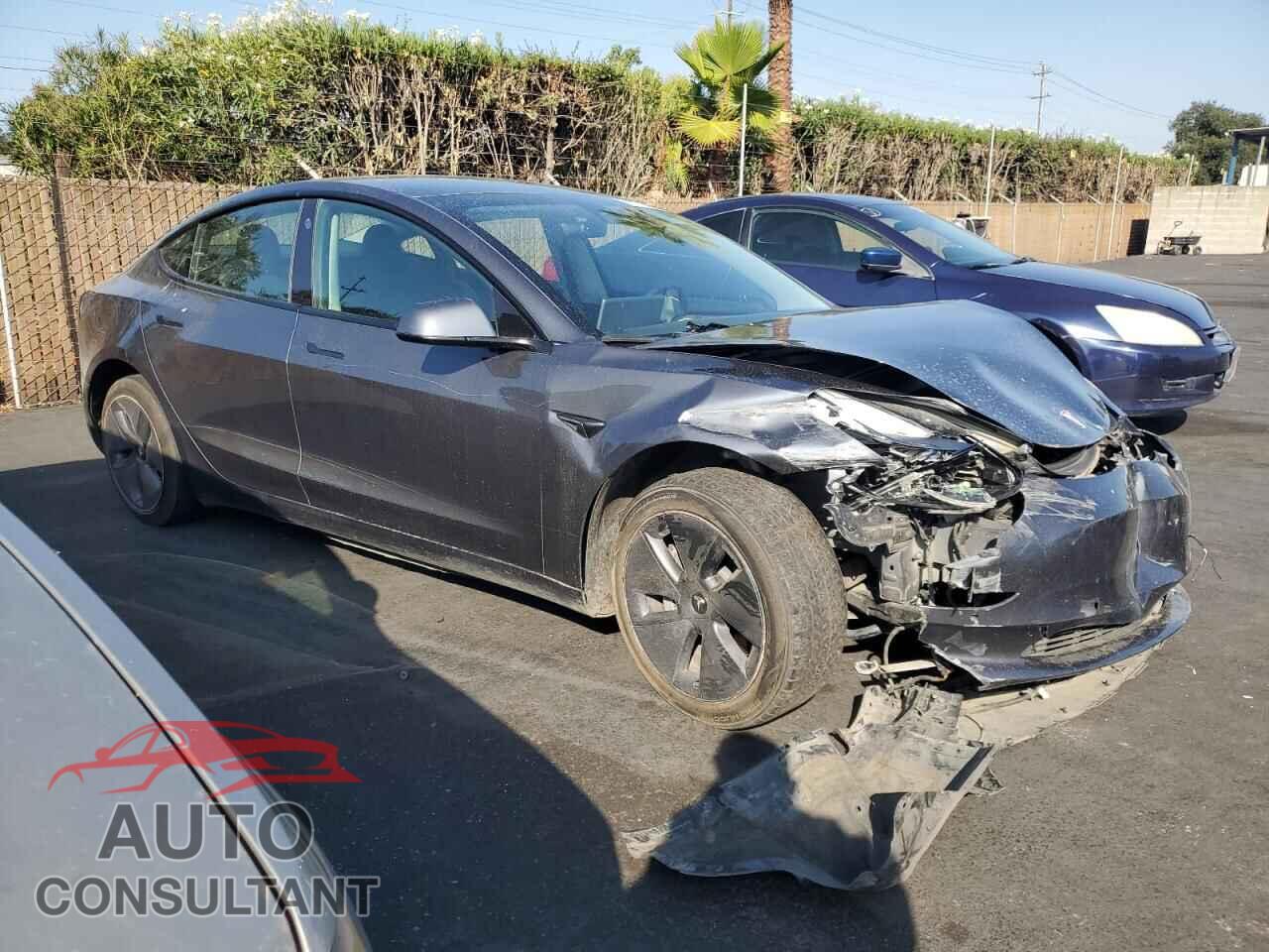 TESLA MODEL 3 2021 - 5YJ3E1EA2MF092872