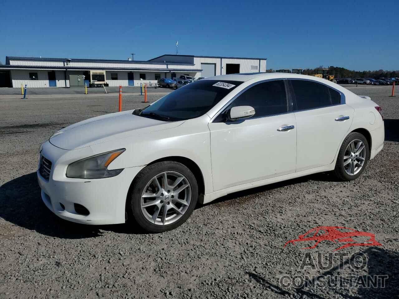 NISSAN MAXIMA 2010 - 1N4AA5AP5AC817206
