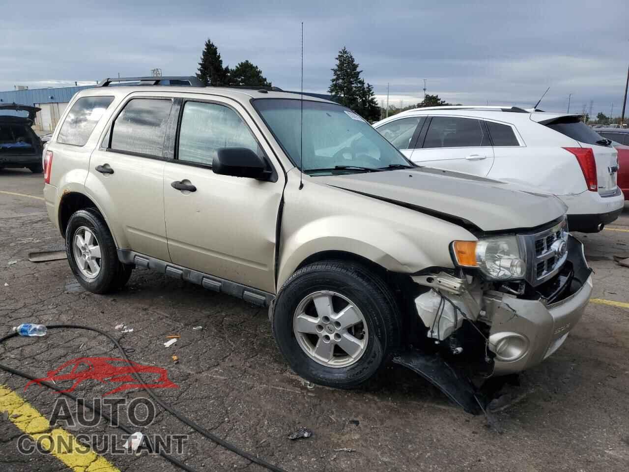 FORD ESCAPE 2010 - 1FMCU0D73AKC82855