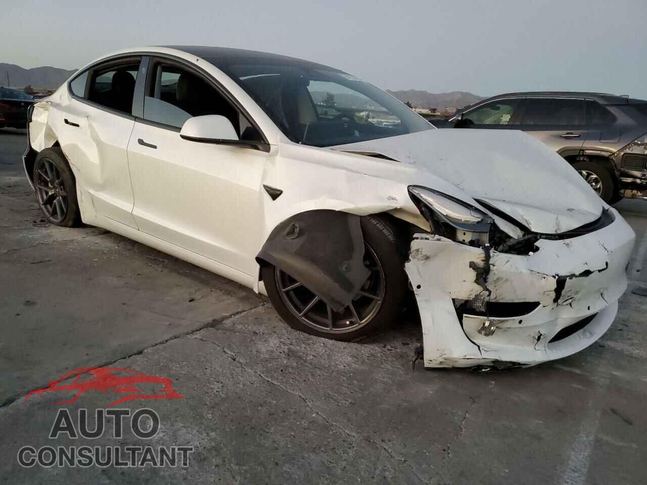 TESLA MODEL 3 2021 - 5YJ3E1EA7MF075355