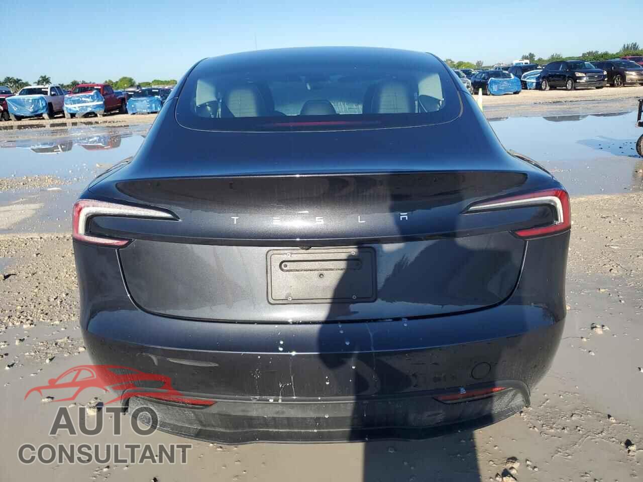 TESLA MODEL 3 2024 - 5YJ3E1EA9RF733863
