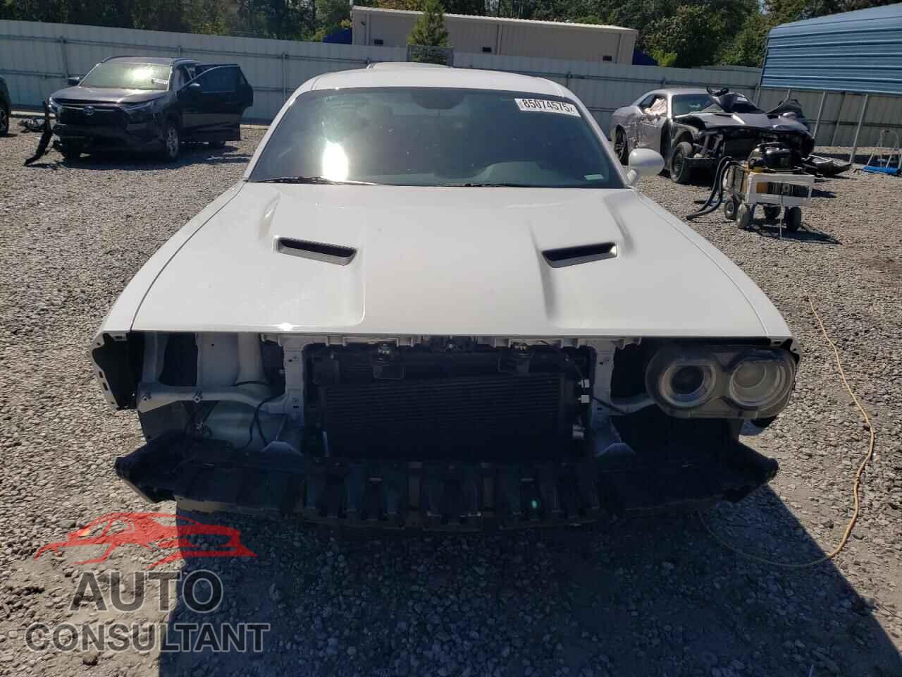 DODGE CHALLENGER 2019 - 2C3CDZAG2KH746647