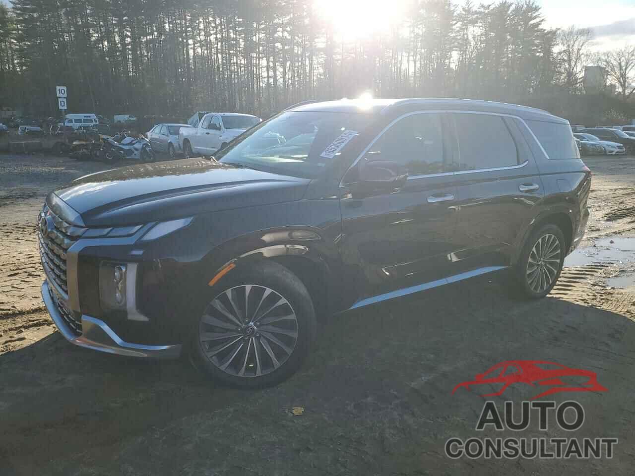 HYUNDAI PALISADE 2024 - KM8R7DGE0RU707421
