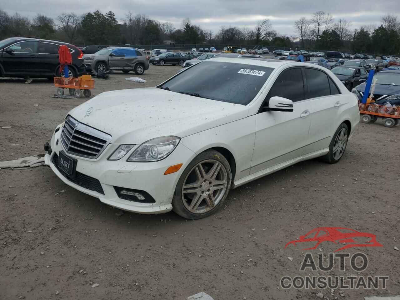 MERCEDES-BENZ E-CLASS 2010 - WDDHF8HB1AA128769