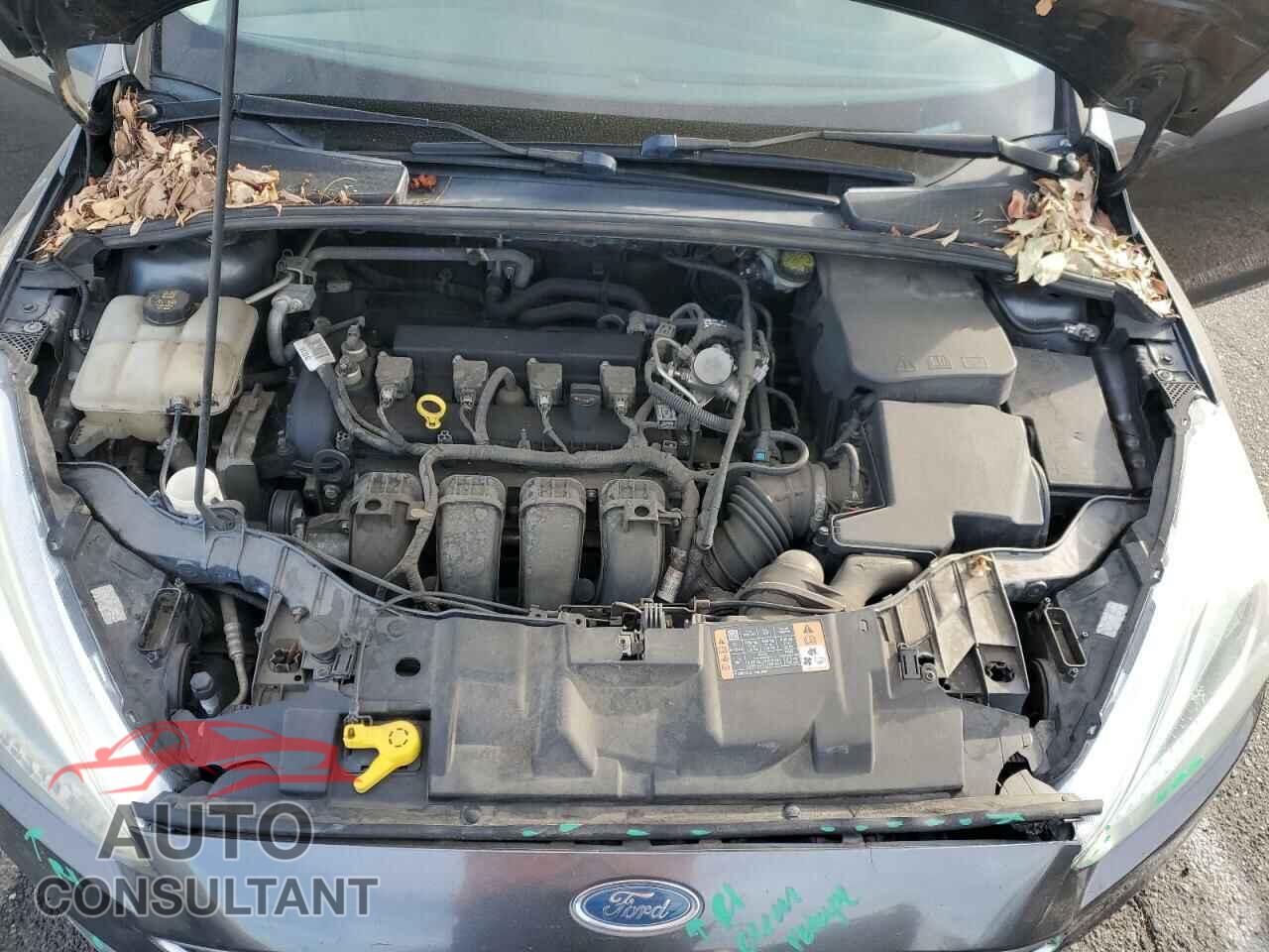 FORD FOCUS 2016 - 1FADP3F26GL398692