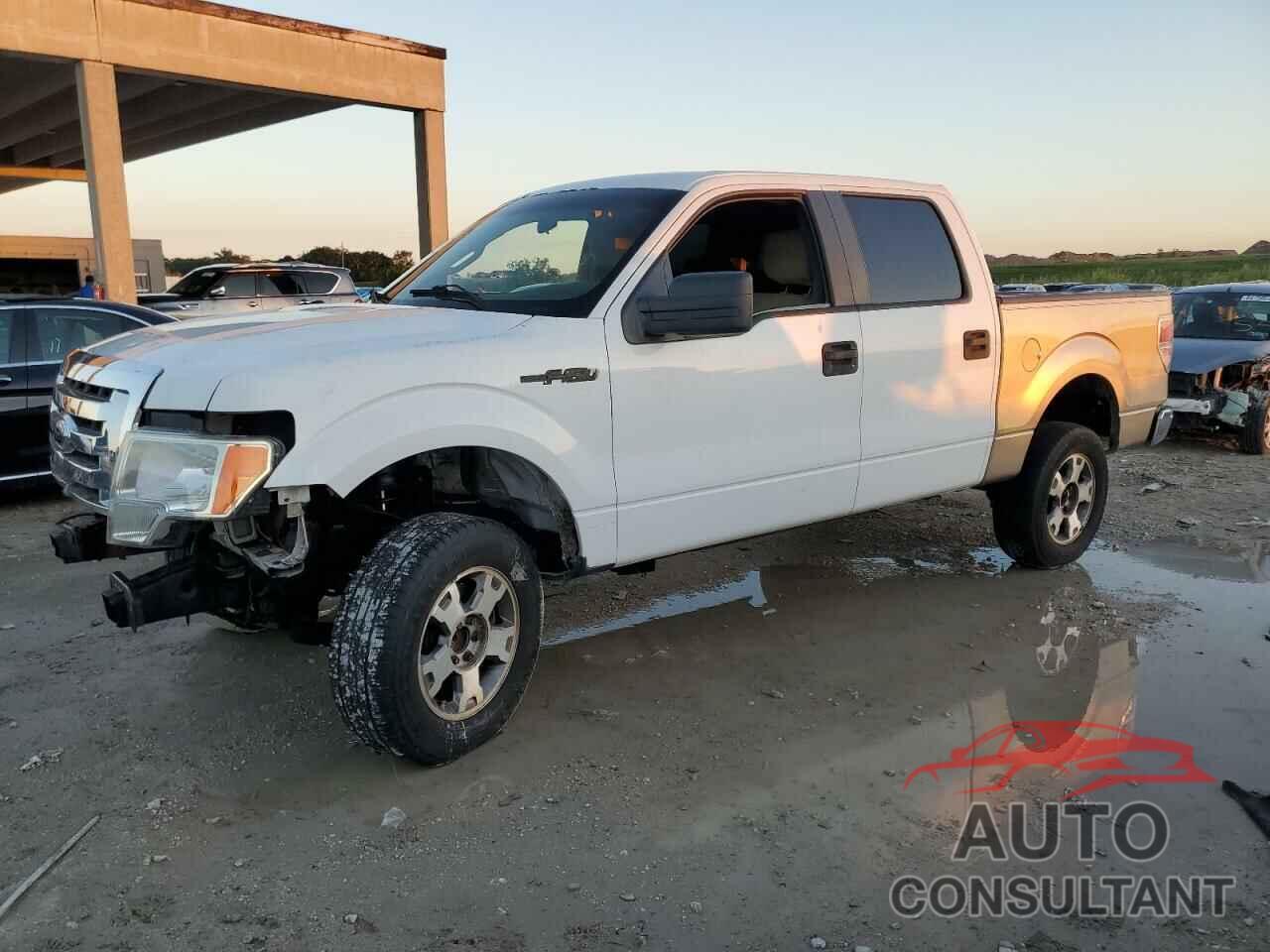 FORD F-150 2012 - 1FTFW1CF2CKD17530