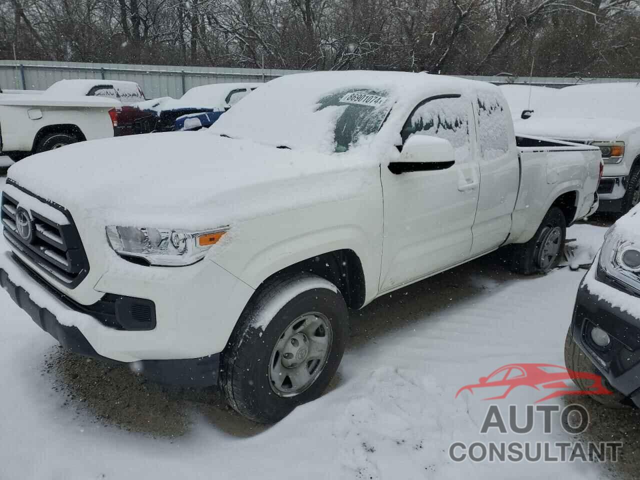 TOYOTA TACOMA 2023 - 3TYSZ5AN4PT164126