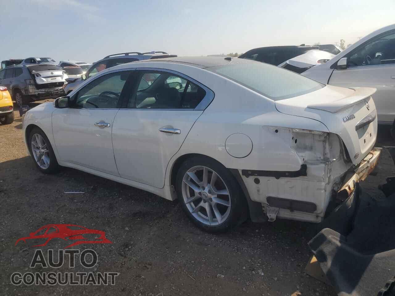 NISSAN MAXIMA 2011 - 1N4AA5AP0BC814439