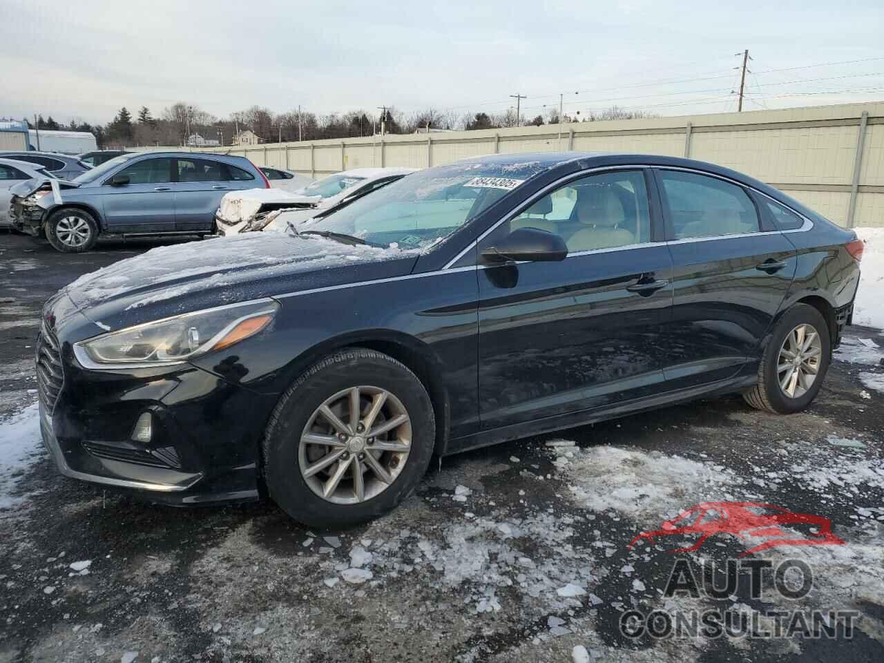 HYUNDAI SONATA 2019 - 5NPE24AF8KH732702