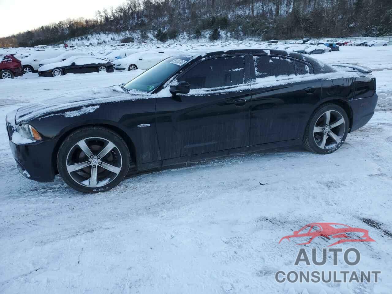 DODGE CHARGER 2014 - 2C3CDXHGXEH232138