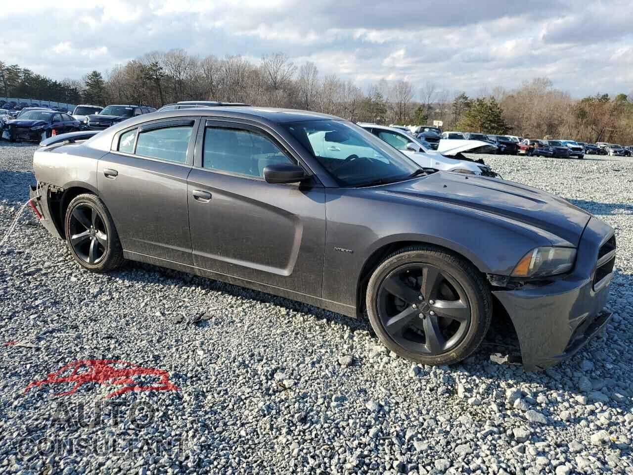 DODGE CHARGER 2014 - 2C3CDXCTXEH349254