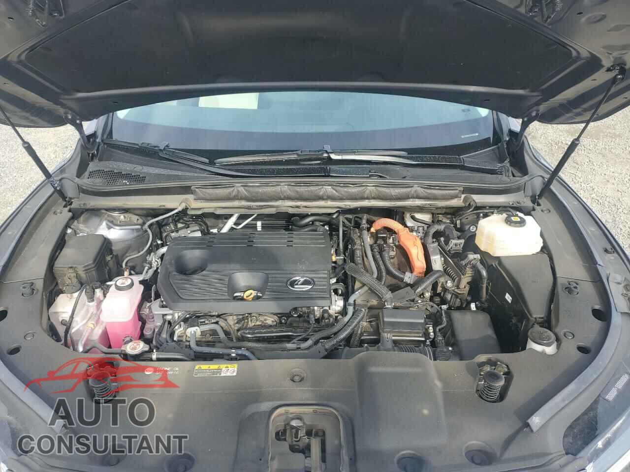 LEXUS RX 350H BA 2023 - 2T2BBMCA5PC005284