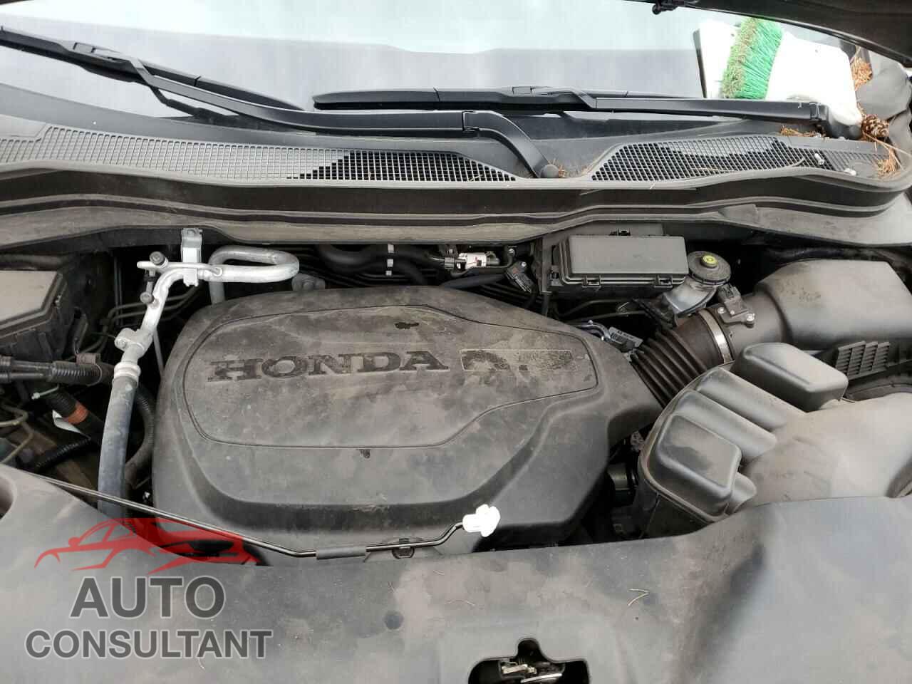 HONDA PILOT 2021 - 5FNYF6H78MB087742