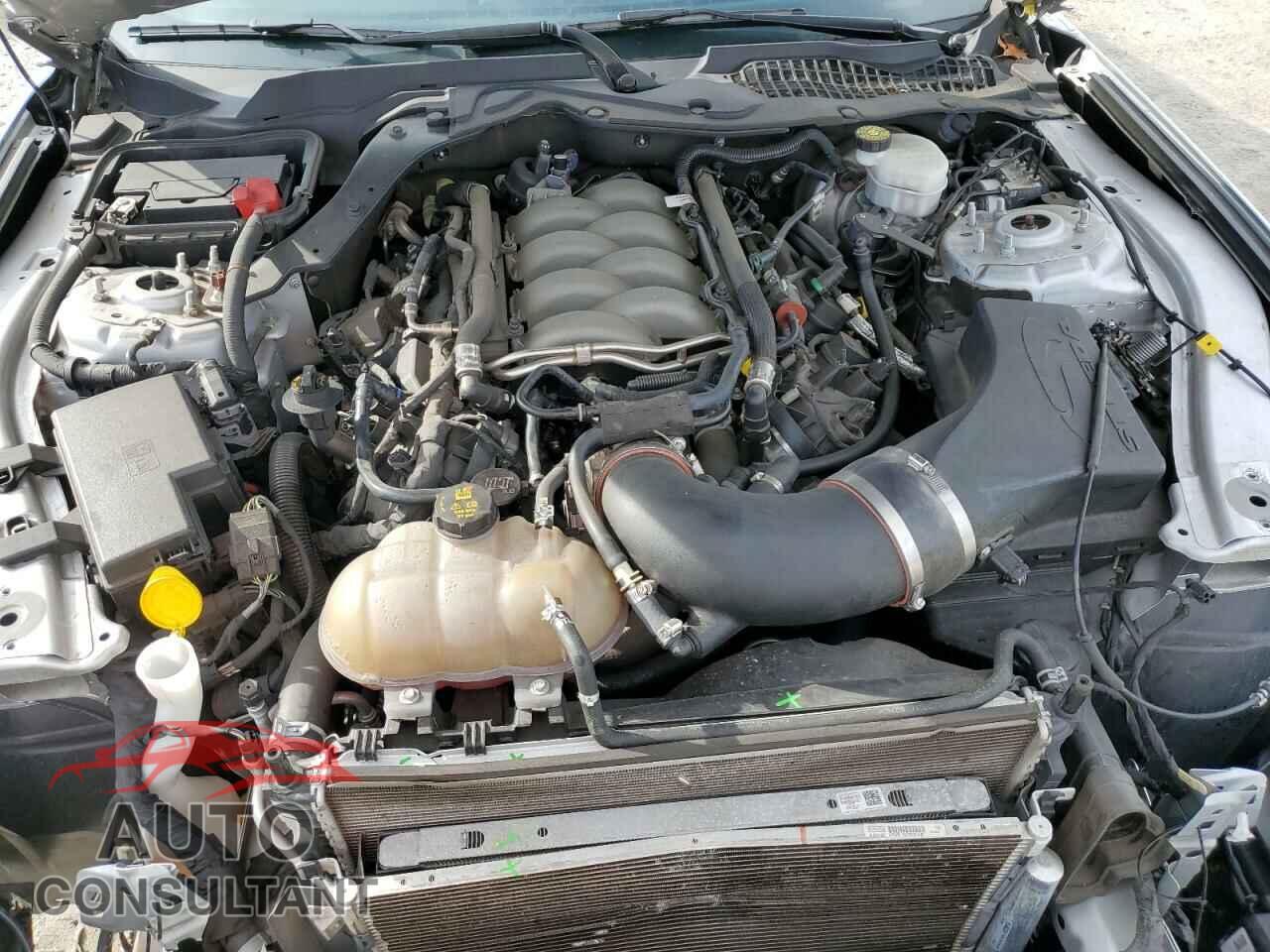 FORD MUSTANG 2019 - 1FA6P8CF2K5201916