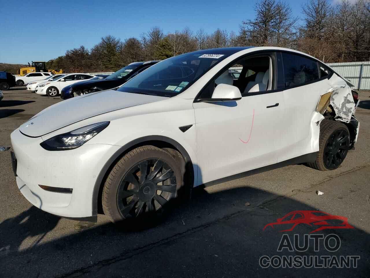 TESLA MODEL Y 2021 - 5YJYGDEE9MF198014