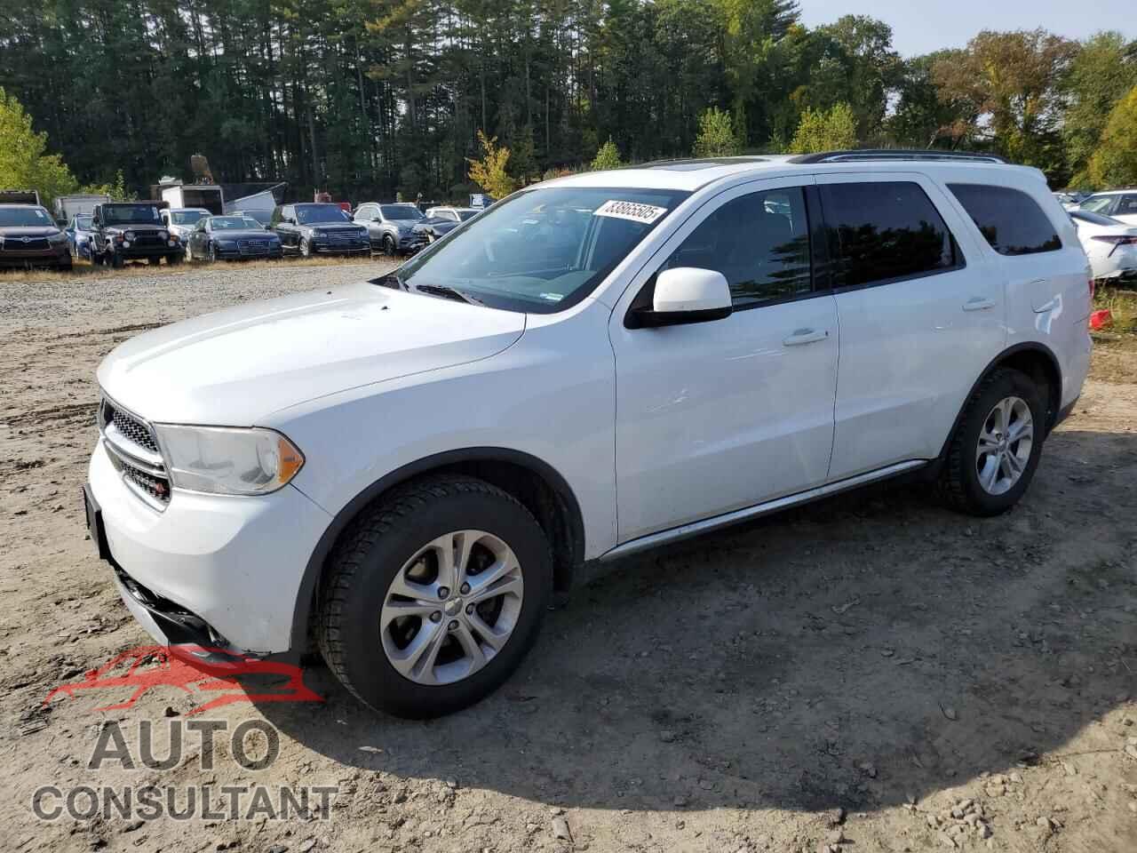 DODGE DURANGO 2013 - 1C4RDJAGXDC559265