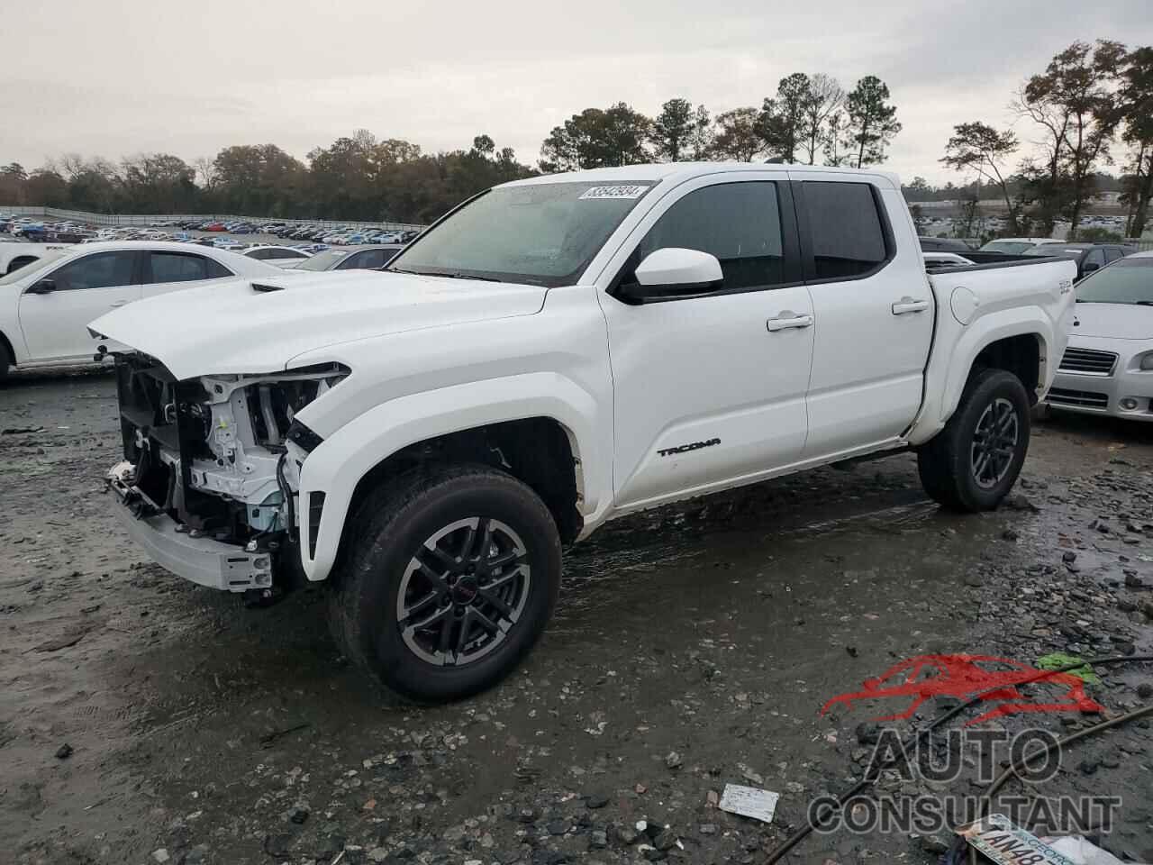TOYOTA TACOMA 2024 - 3TYLB5JN8RT013365