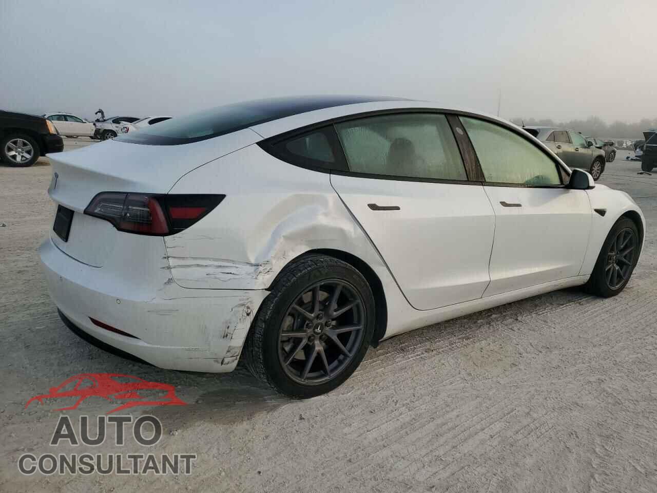 TESLA MODEL 3 2021 - 5YJ3E1EA7MF855081