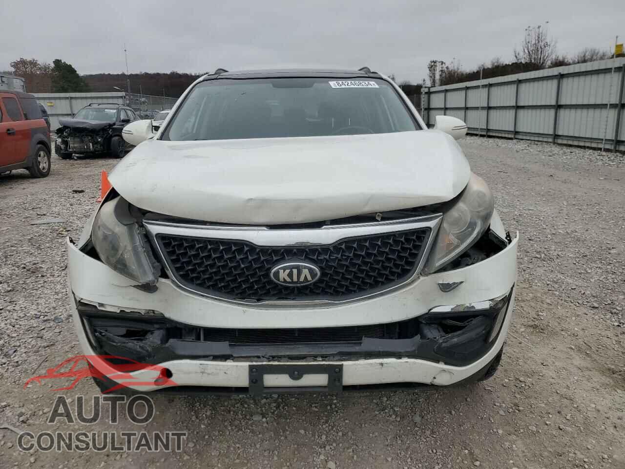 KIA SPORTAGE 2016 - KNDPC3AC7G7835983