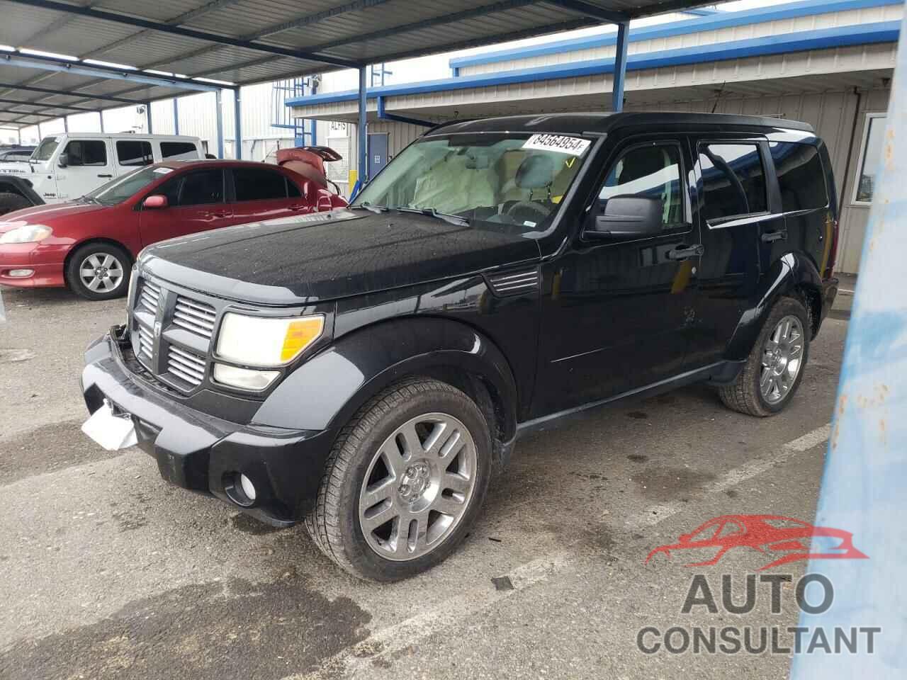 DODGE NITRO 2011 - 1D4PU4GKXBW513101