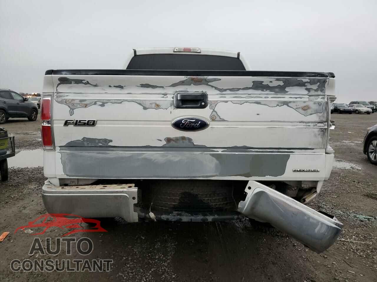 FORD ALL OTHER 2011 - 1FTFW1CF8BKD04893