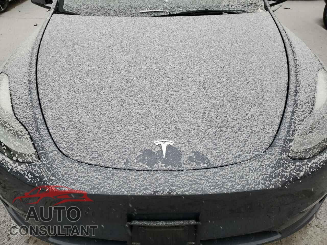 TESLA MODEL Y 2023 - 7SAYGDEE9PF685852