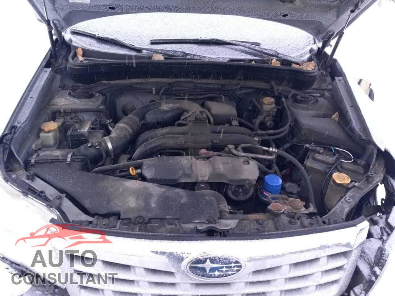 SUBARU FORESTER 2012 - JF2SHBDC5CH440790