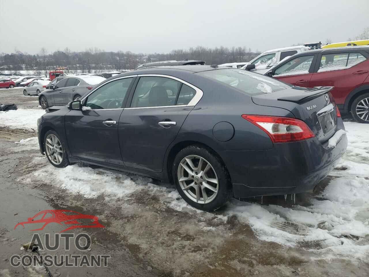NISSAN MAXIMA 2009 - 1N4AA51E79C830551