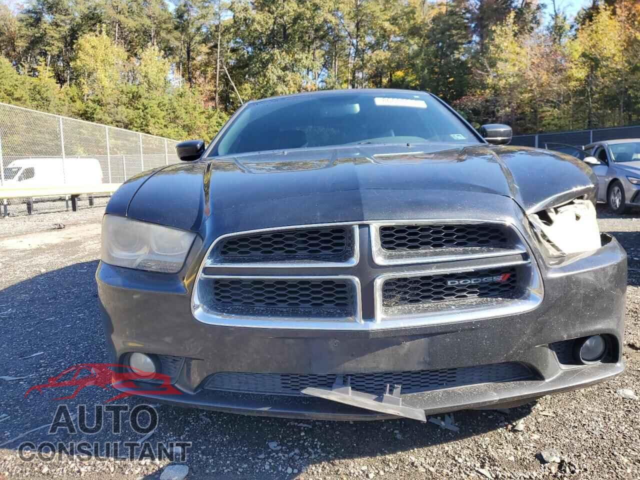 DODGE CHARGER 2014 - 2C3CDXCT6EH333617