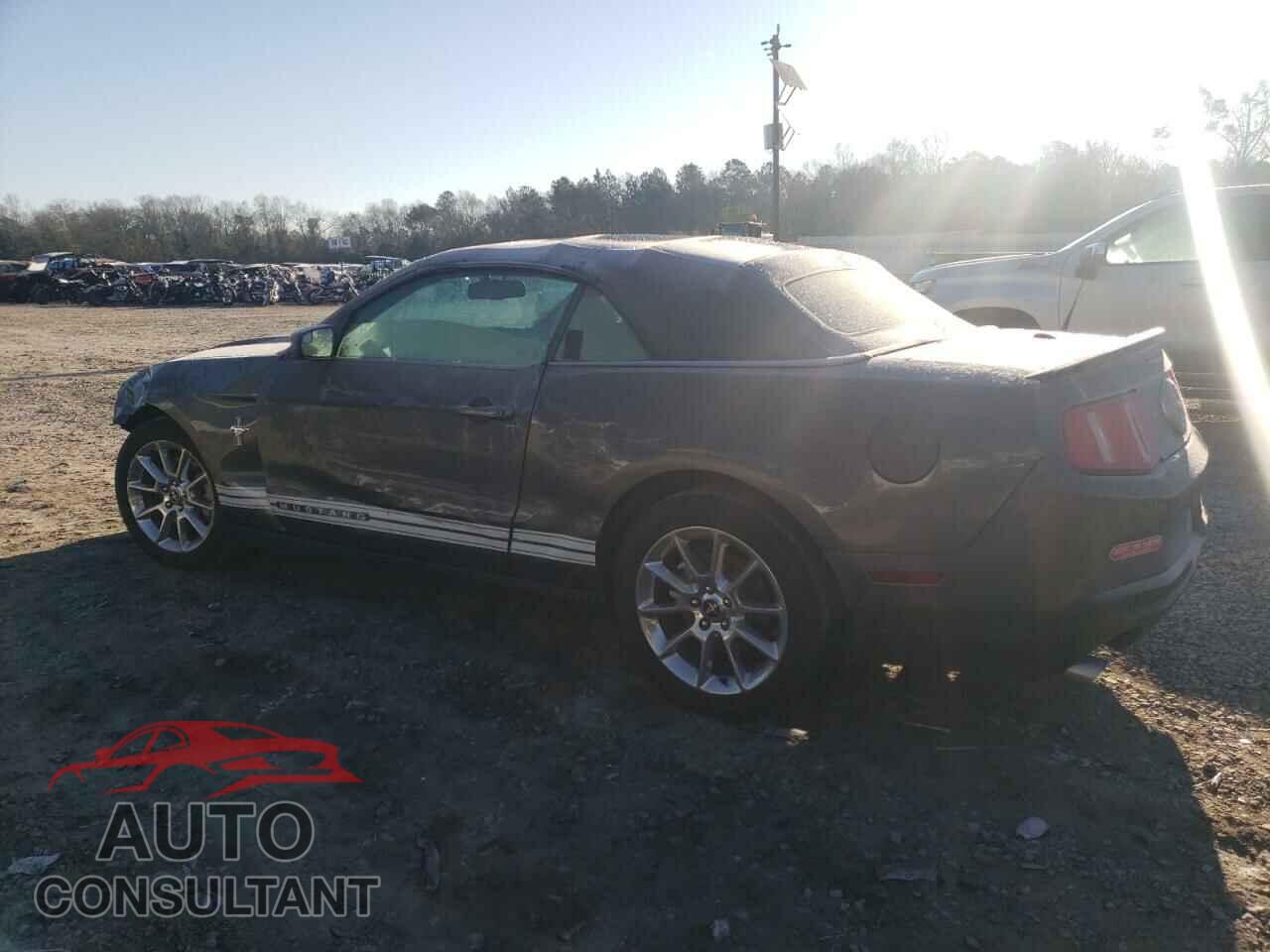 FORD MUSTANG 2011 - 1ZVBP8EM4B5156866