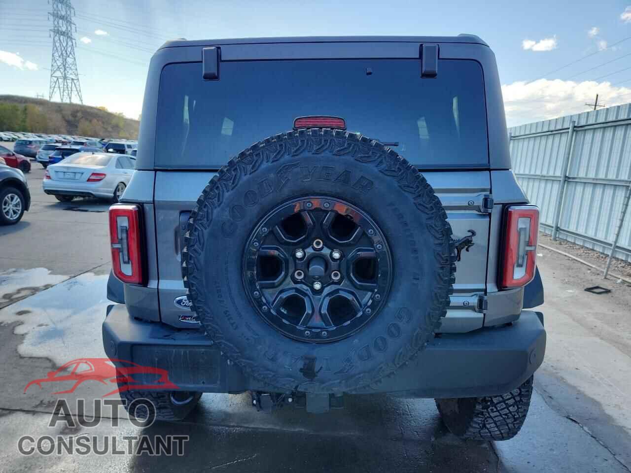 FORD BRONCO WIL 2024 - 1FMEE2BP2RLA59426