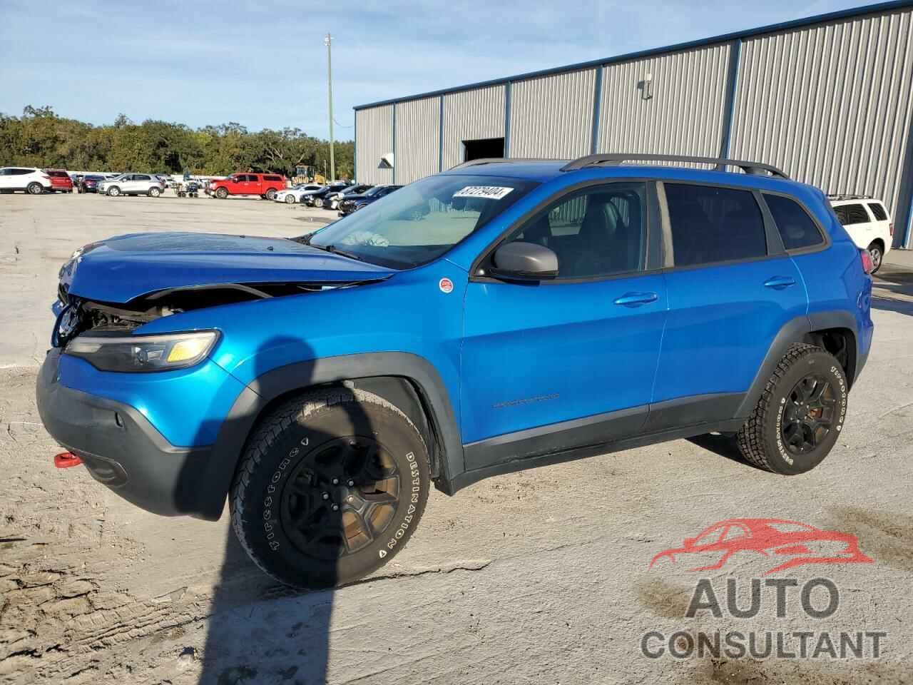JEEP CHEROKEE 2019 - 1C4PJMBX3KD106449