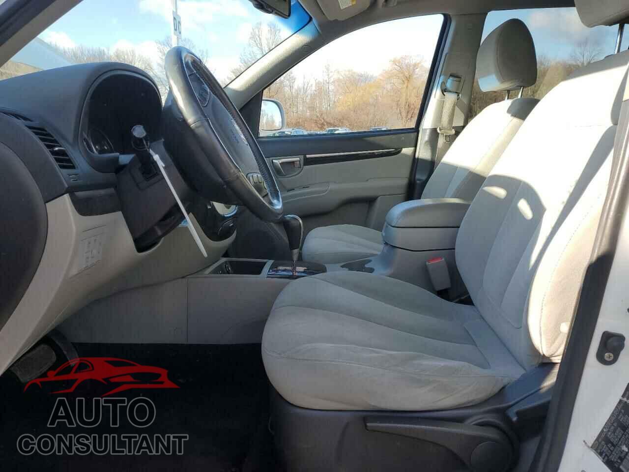 HYUNDAI SANTA FE 2009 - 5NMSH73E99H296943