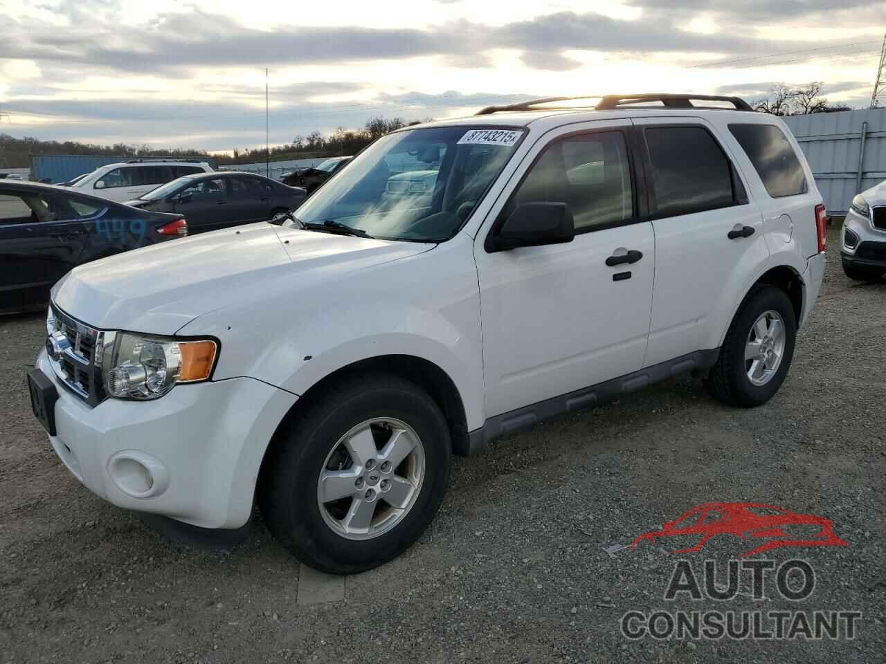FORD ESCAPE 2011 - 1FMCU9DG1BKA15493