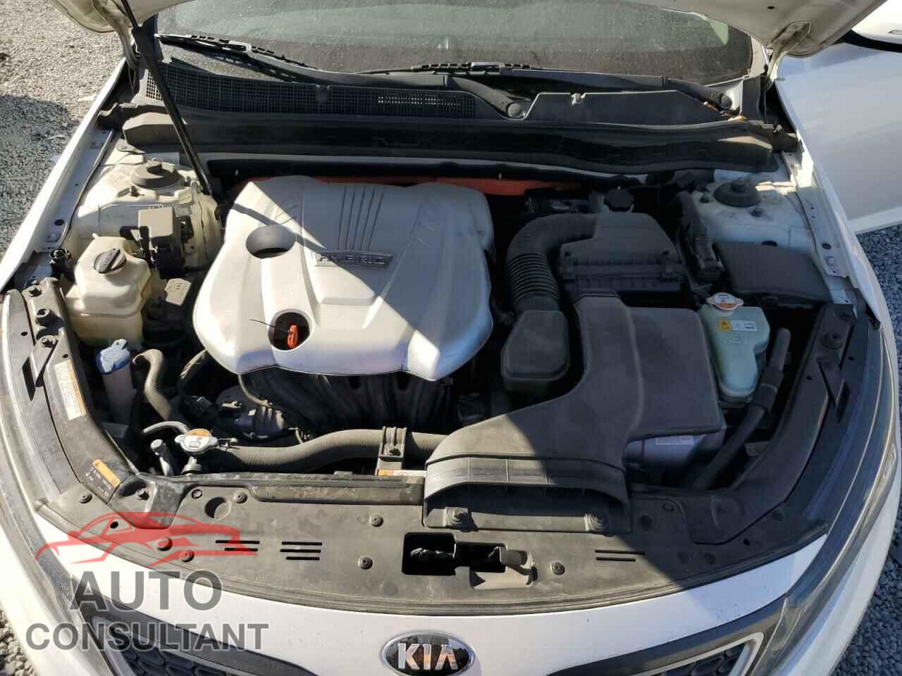 KIA OPTIMA 2014 - KNAGM4AD8E5069313