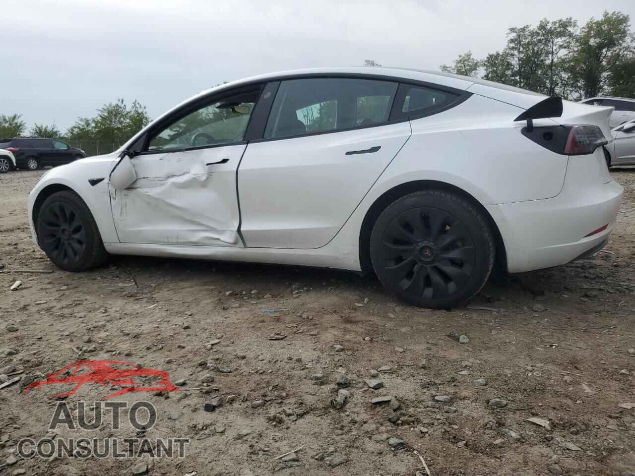 TESLA MODEL 3 2021 - 5YJ3E1EA8MF852075