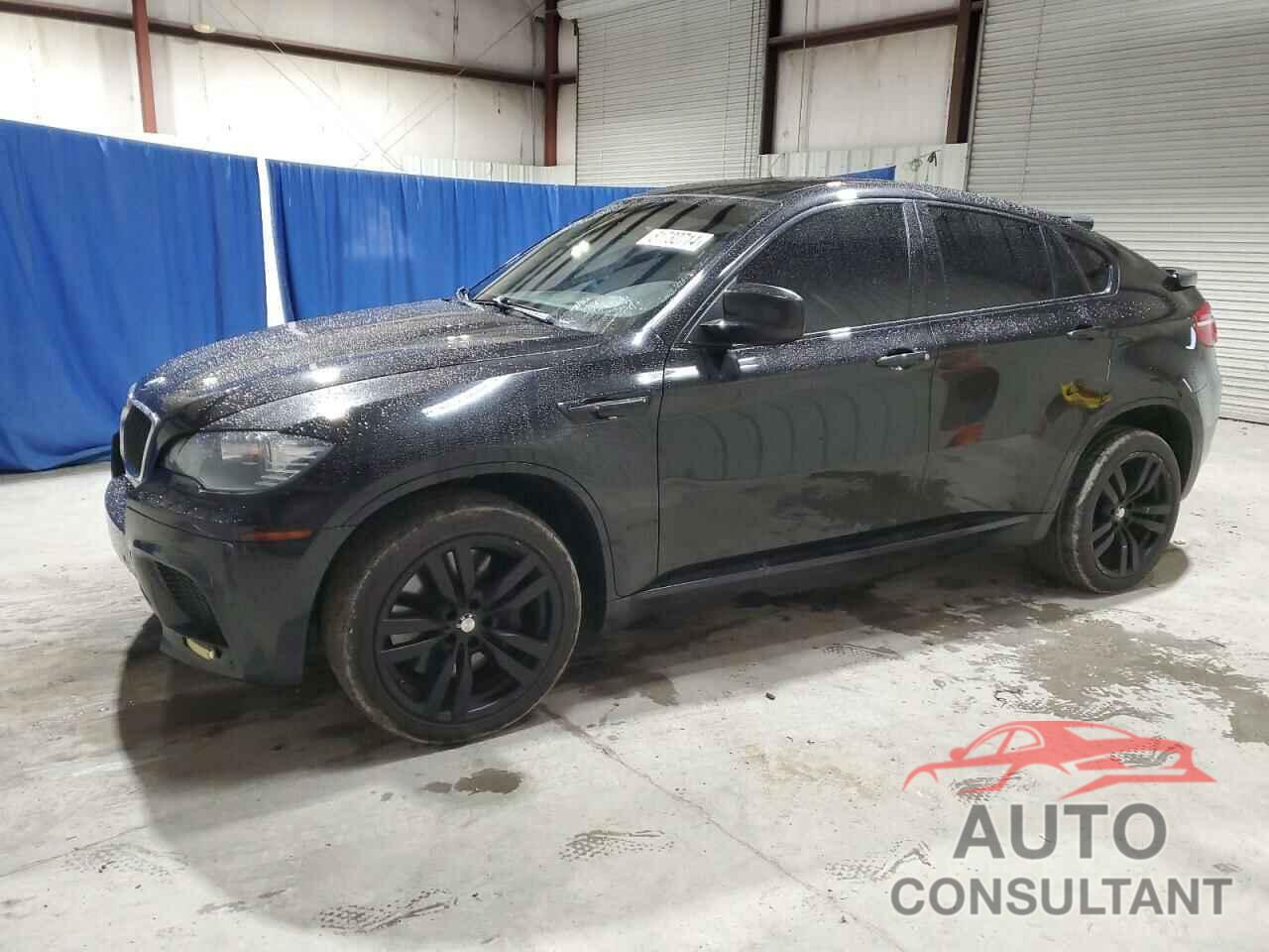 BMW X6 2010 - 5YMGZ0C52ALK13602